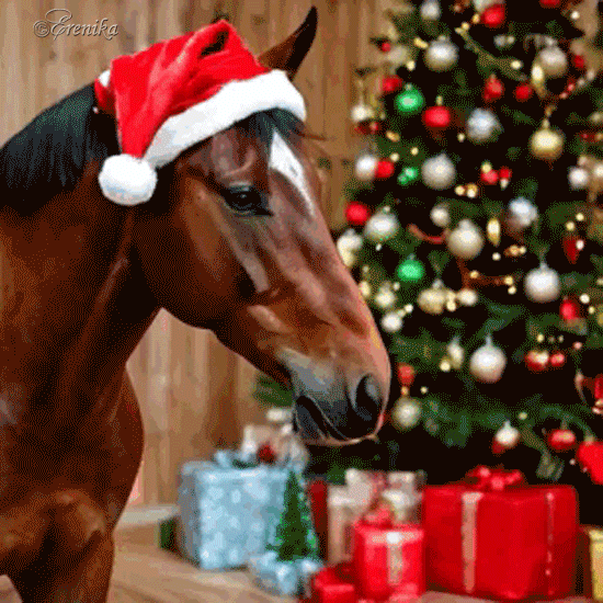 С наступающим Новым Годом!