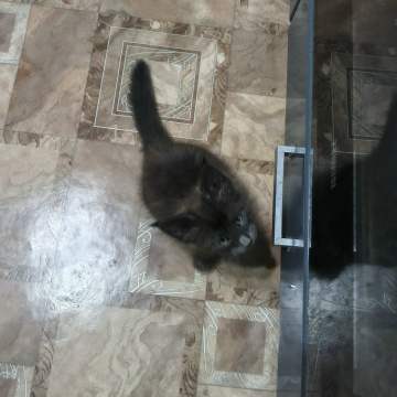 Jg15eKcgxyKQgaPxQD0-hlFdNDD7z3BMxfoJLvp4oUltOdfi052_paeldtqaCt4ICS5OYRPEPXSHUtF_XgLRl923 — коп?