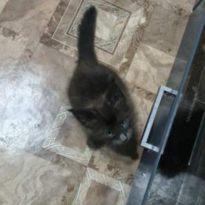 Jg15eKcgxyKQgaPxQD0hlFdNDD7z3BMxfoJLvp4oUltOdfi052_paeldtqaCt4ICS5OYRPEPXSHUtF_XgLRl923_yapfiles.ru