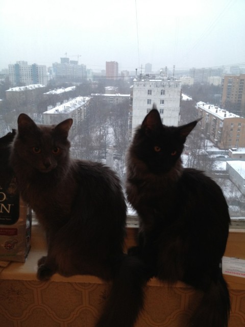 Изображение 017