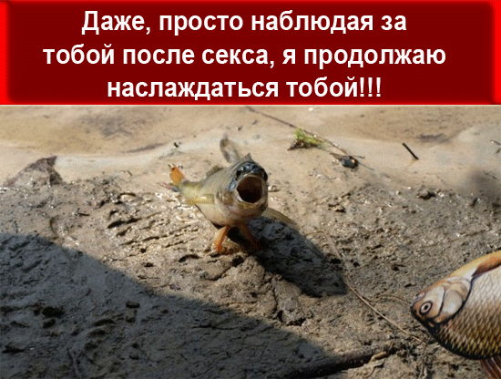 секс