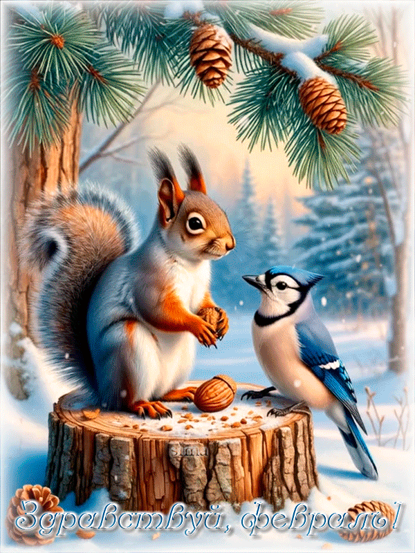 Здравствуй, февраль!