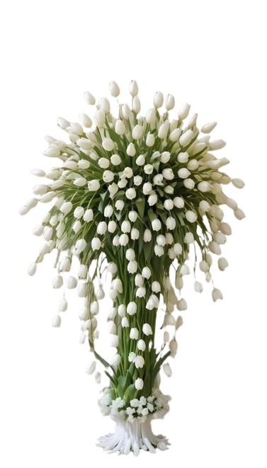 18e0e70c16853013d7f5f174cb7a10f1-removebg-preview