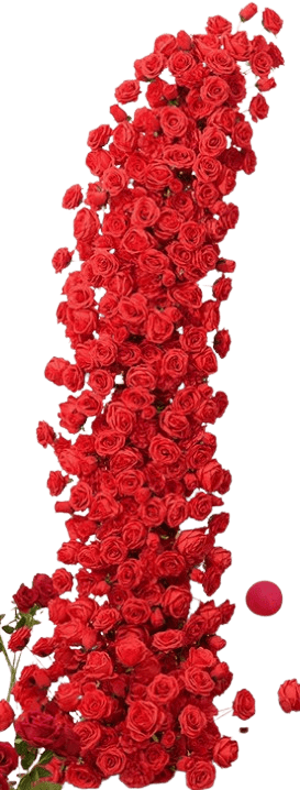 -20260201-045744-removebg-preview