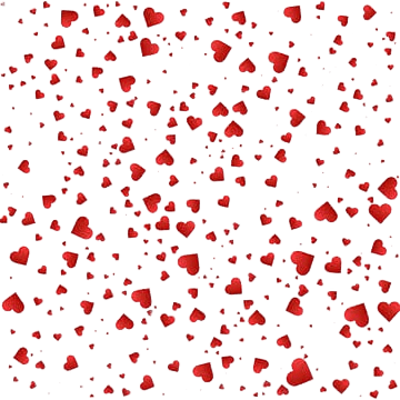 image - 2026-02-12T190500.022 (1)