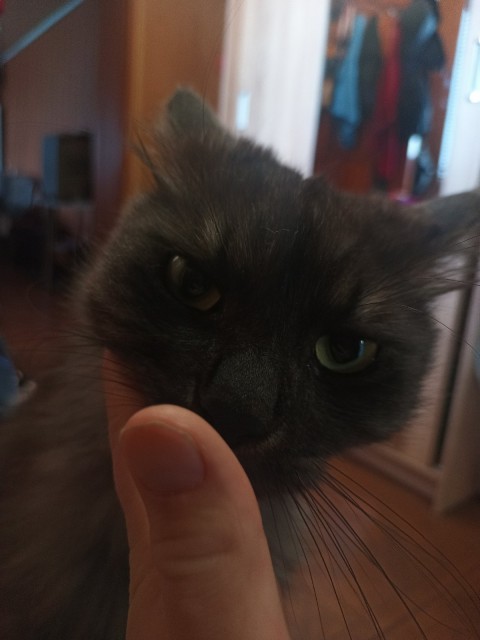 IMG-9bcf3c91a0a6c70759c5ffc1f4a803e9-V