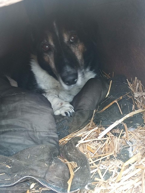 IMG-594ab561a23fd392536a7374c2d70339-V