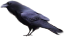 024466149