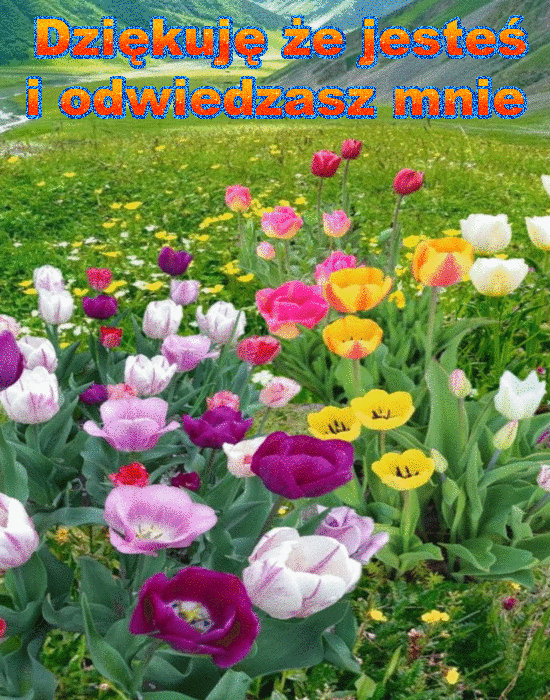 oie_oBNoh5s9KJDI (1)