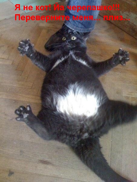 post-3-12488509639087