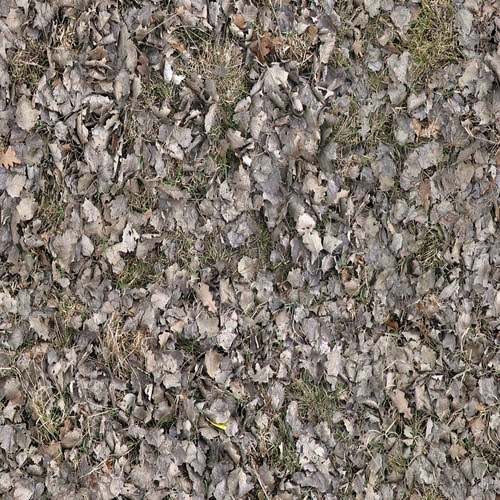 less_texture_1650 (1)