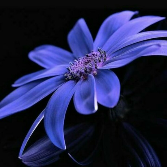 zCDj0ElJbl0JNGl04mhBfgOHO5ZZB2DSUfU3SkrqKDxnPxhn7ikm1Nah_tunHL6HAeyLgO8m