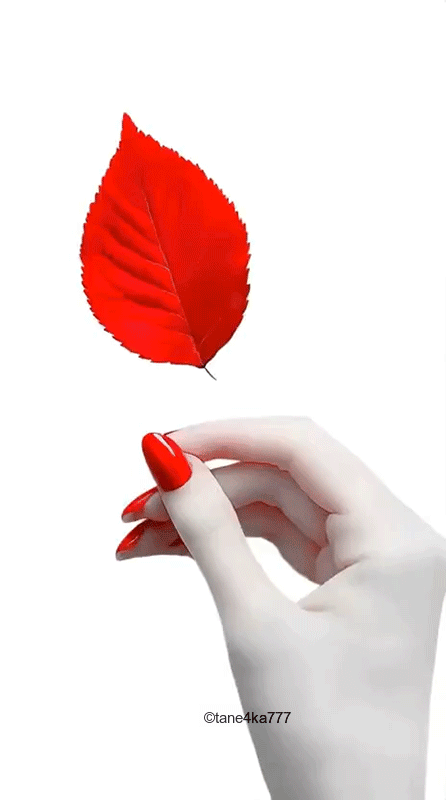 Моя анимация в нейросети(tane4ka777)