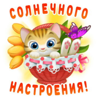 149378367_kisa_nastr