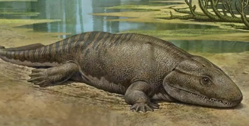 result_Скриншот-20260403-110001