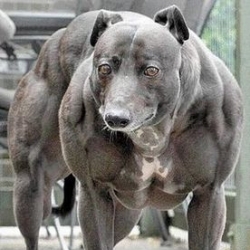 ___0458093bfa16466e16f188addcd47eb9___negolist.com