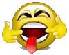 language2