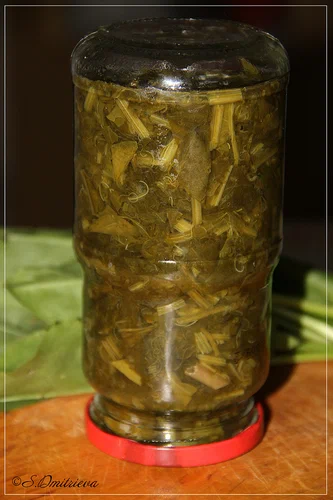консервированный