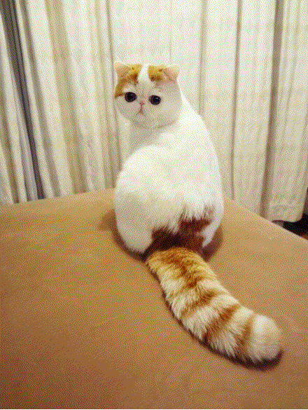 Безымянный-1