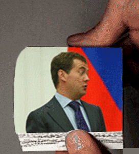 medved4