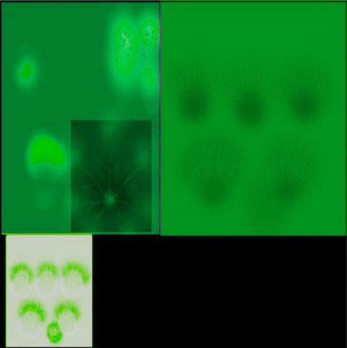flower_04_b-мальвы--зелёные
