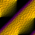 56955244_1269567104_127