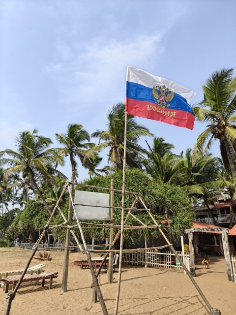 IMG20260208150042