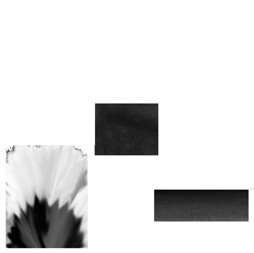 flower_06_b.ЧЁРНЫЕ
