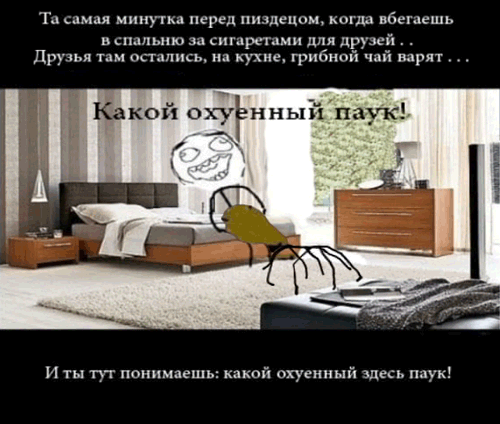 пп