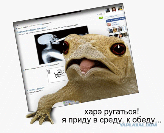 bitva