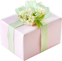pink gift box