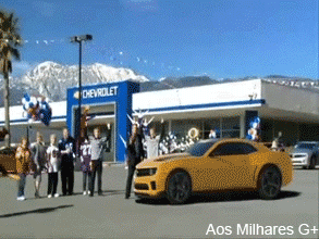 гифки-бурундук-удар-машина-87271