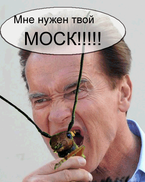 bukashko-and-arnie