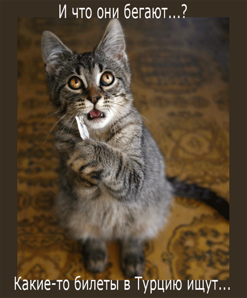 0_5ca6a_d328a157_orig