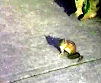 vgr8oivkg0yqrtzptr42aw2