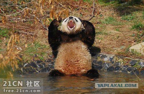 post-3-12344429566653