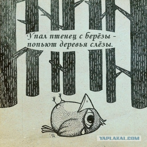 птен