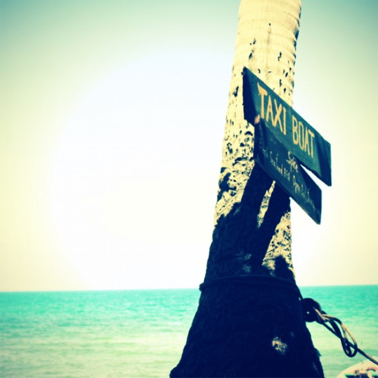 High Safari – Skylight (2012)