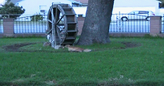 6d269e09734fdd0f0d9318d894d006bf