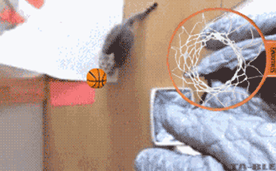 p16tg943o5sb3qq0eqf1pvheeu2