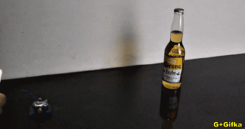 99556970328419_mms_6