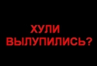 huli-vyilupilis_4802