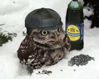 B1A90692-1D6C-2160-BE76-1B4854F2B09D