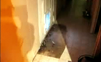 et8hrciyy0mhft-jfkweig2