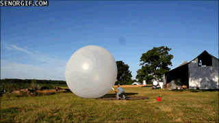 funny-gifs-thats-a-big-balloon
