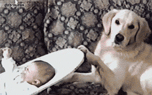 tumblr_m55vbvzKmi1r3gb3zo1_400