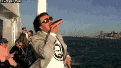 funnygifsseagullslovedonuts