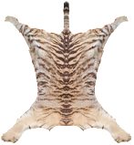 Tiger_Skin_Rug