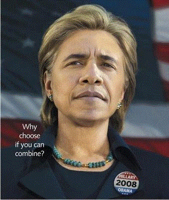 obama funny pictures (8)