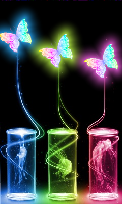 892150691
